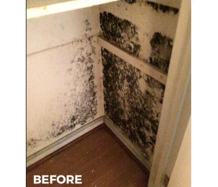 Hall way towel closet with mold spores 