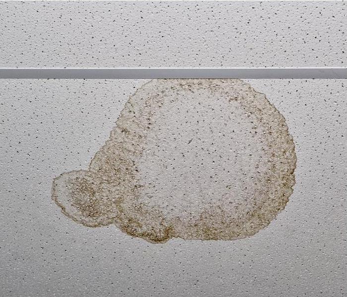 a white drop ceiling tile showing signs of water damage from a leak